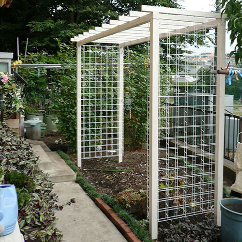 つるバラ用のパーゴラ