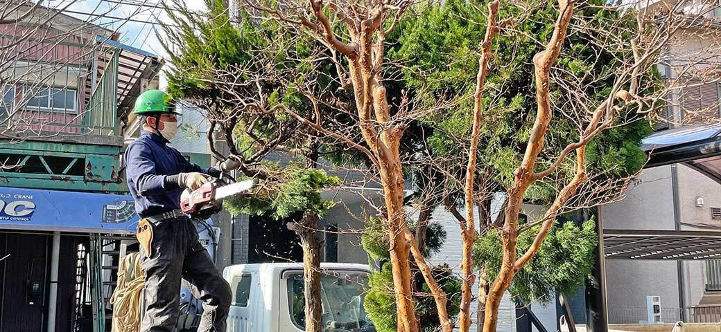 庭木手入れ・剪定