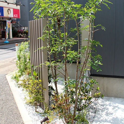角地の植栽スペース
