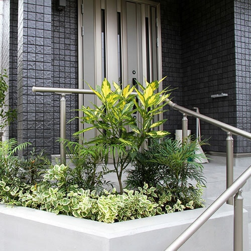 階段脇花壇植栽