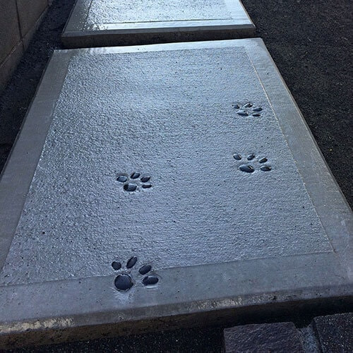 猫の肉球
