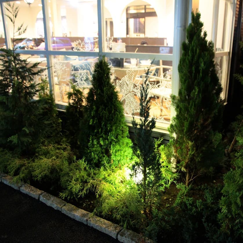 植栽（夜）