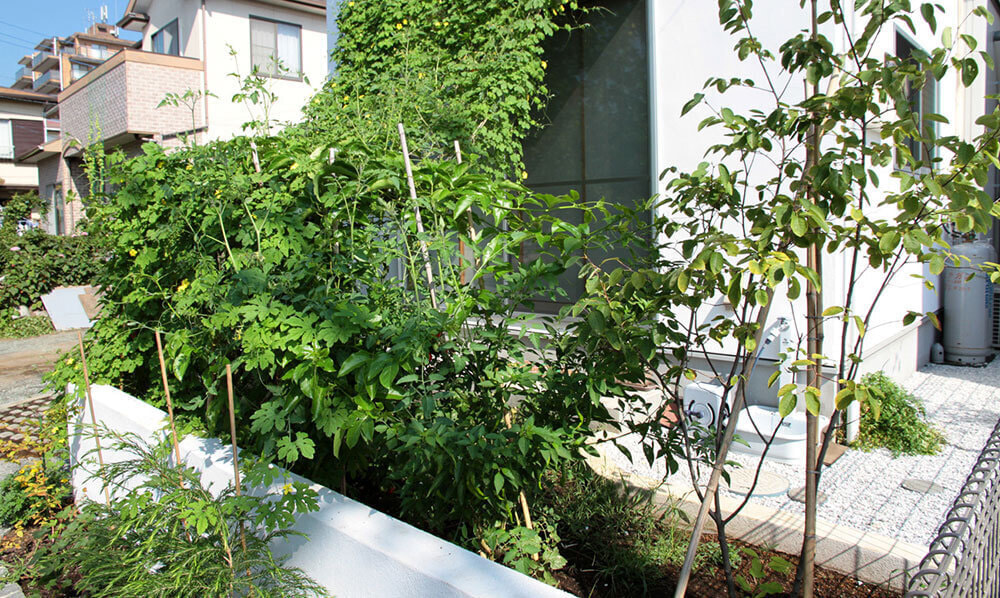 緑化後の家庭菜園スペース