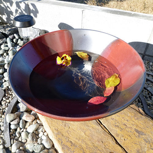 水鉢に浮く紅葉