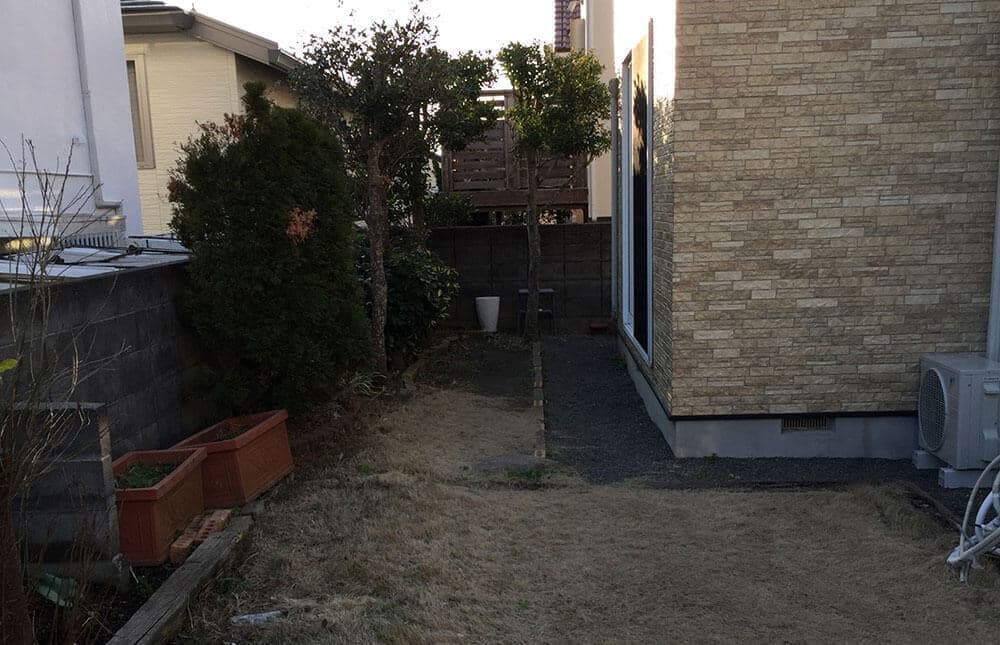 天然芝