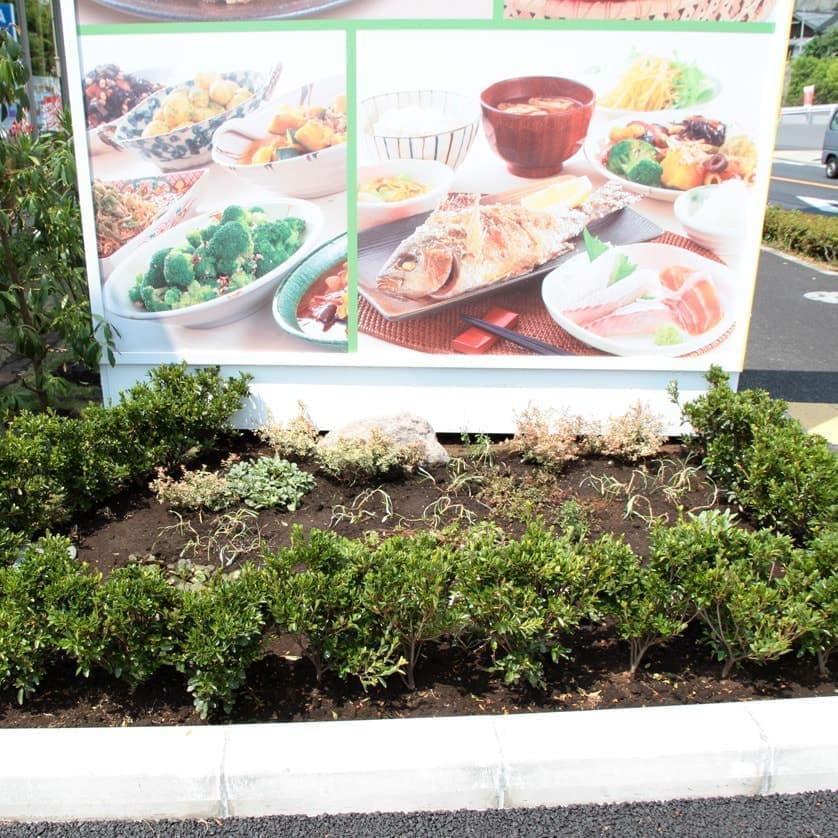 看板下の花壇
