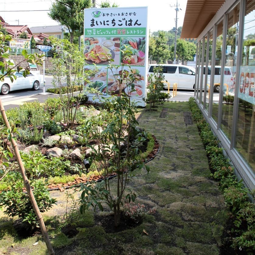 緑が豊富なお庭