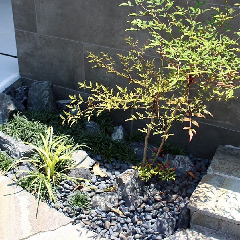 植栽