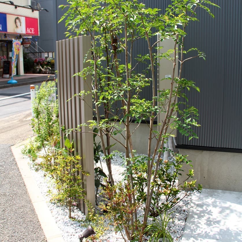 植栽