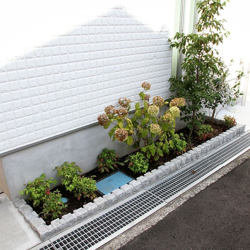植栽