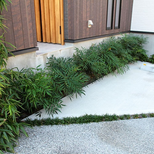 基礎隠しの植物
