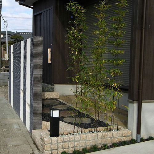 風情のあるクロチク