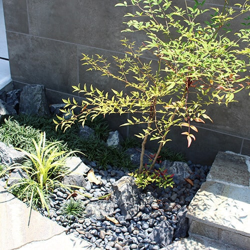 小さな空間にも植栽を