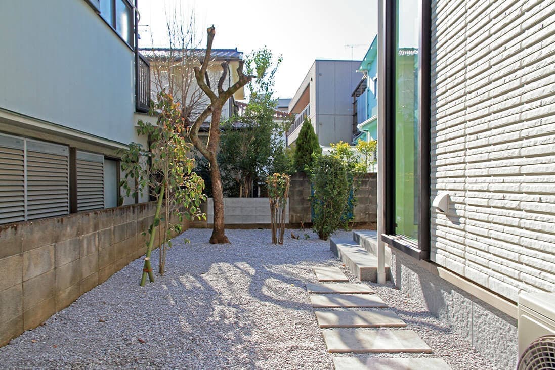 庭の植栽