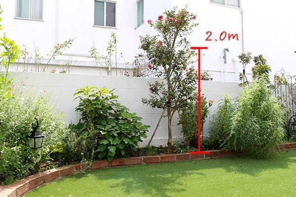 剪定の添付写真例