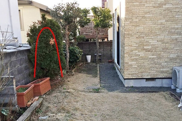 剪定の添付写真例2