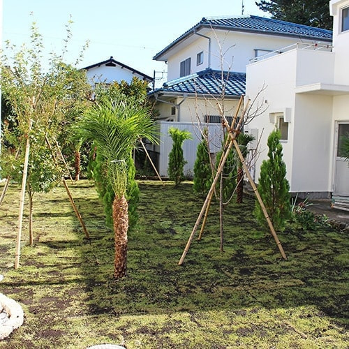 植栽